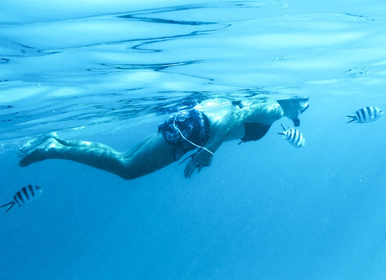 Scuba Diving on the North Coast in front of Sovereign Sands luxurious beach Holiday Villa